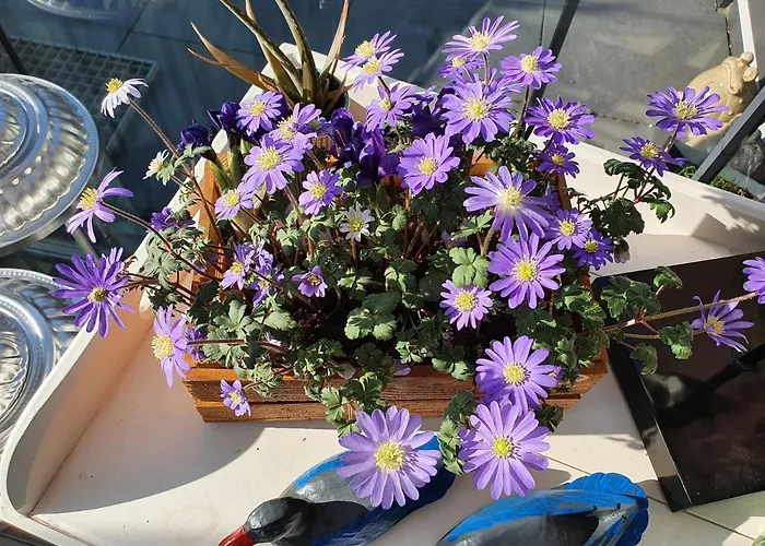 Modern Times Panzió Amszterdam