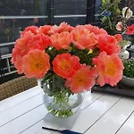 Bed & Breakfast Modern Times