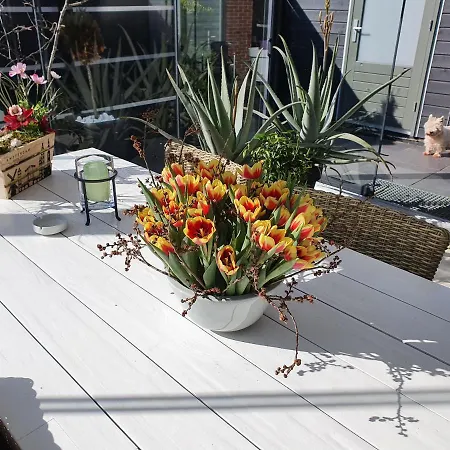 Bed & Breakfast Modern Times Amsterdam