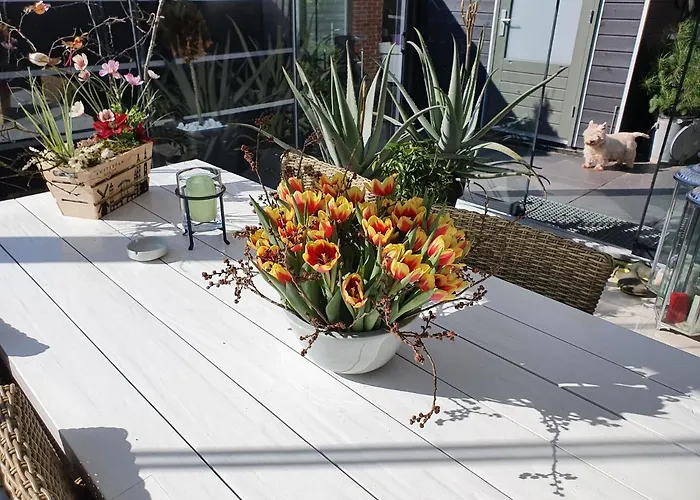 Bed & Breakfast Modern Times Amsterdam