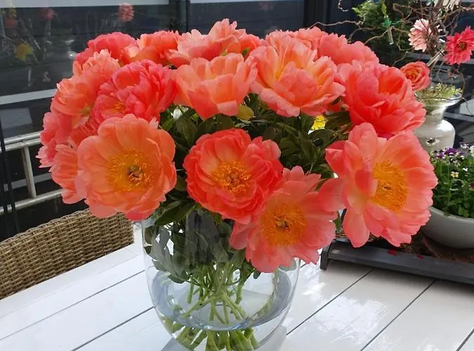 Bed & Breakfast Modern Times